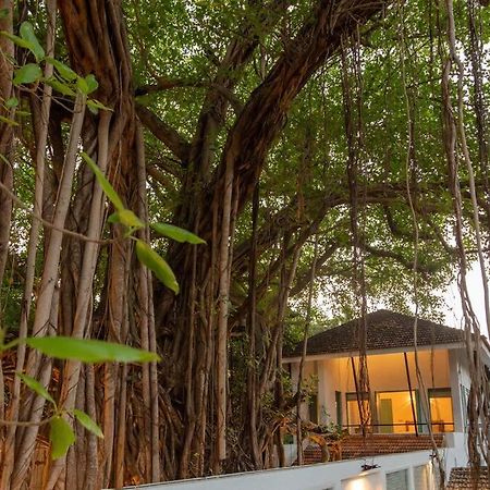 White Banyan Beach Villa, Candolim By The Acacia Villas Екстериор снимка