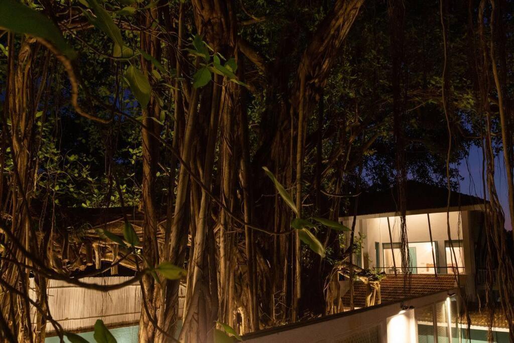 White Banyan Beach Villa, Candolim By The Acacia Villas Екстериор снимка